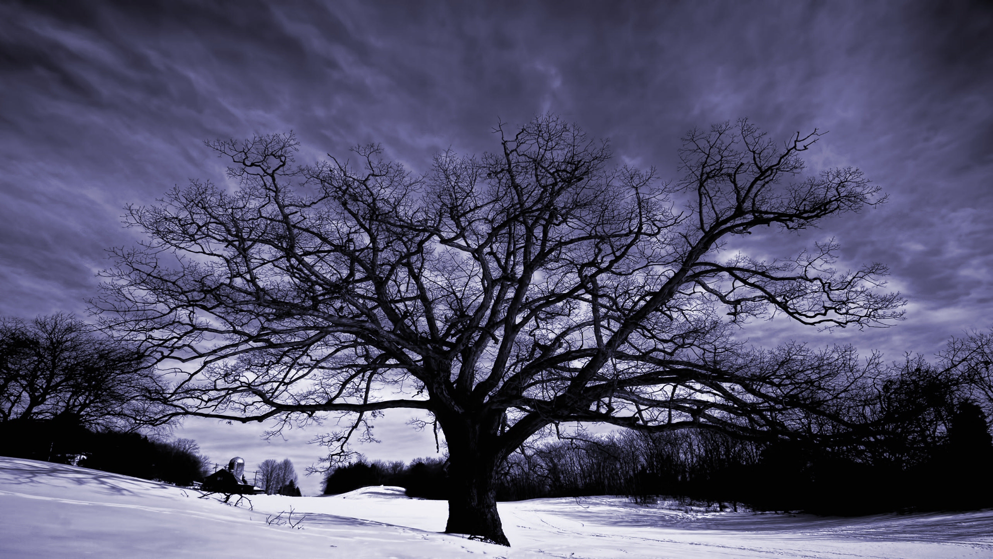 Background 1